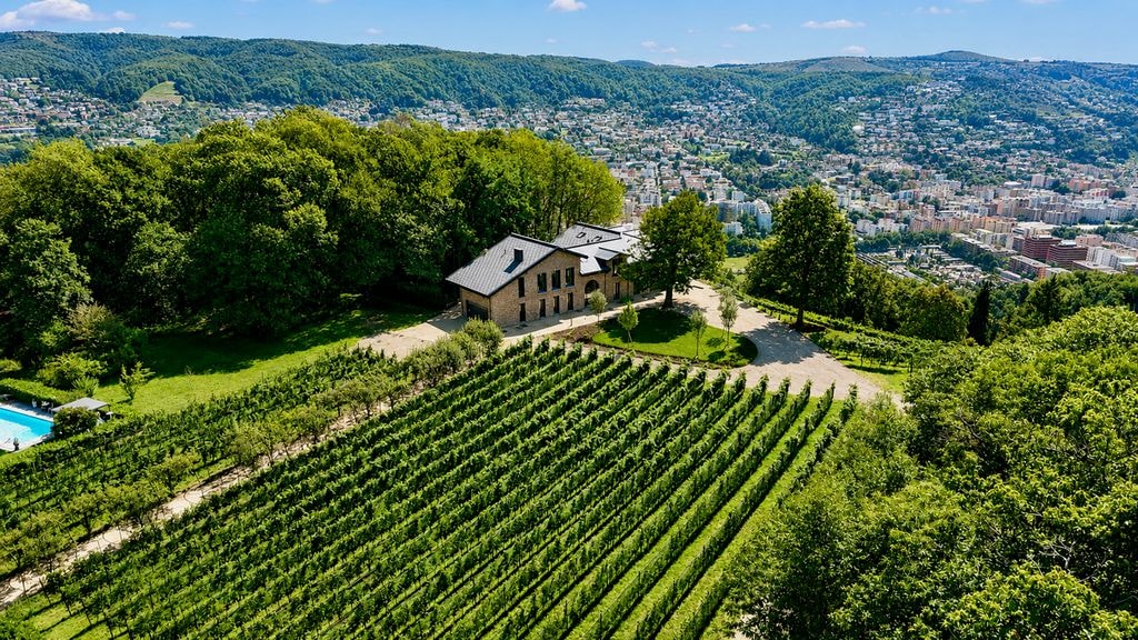 Aerial view of vineyards with Lugano city panorama