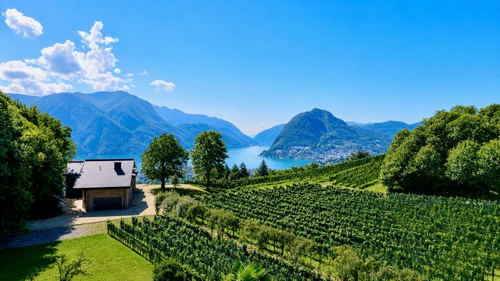 Vineyard estate with panoramic Lake Lugano views, Porza